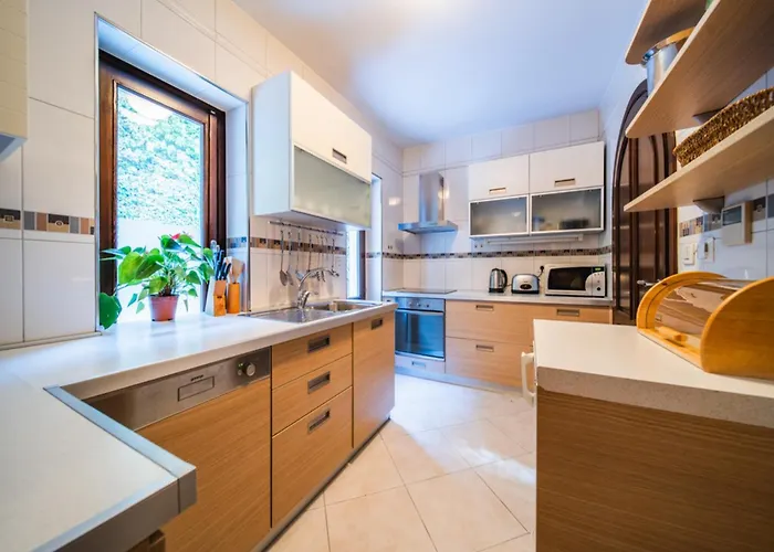 Villa In Croatia Near *