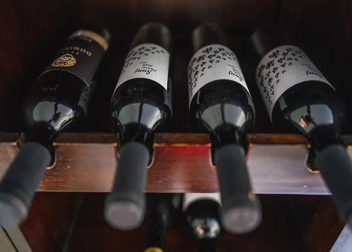 Villa In Croatia Near Dubrovnik